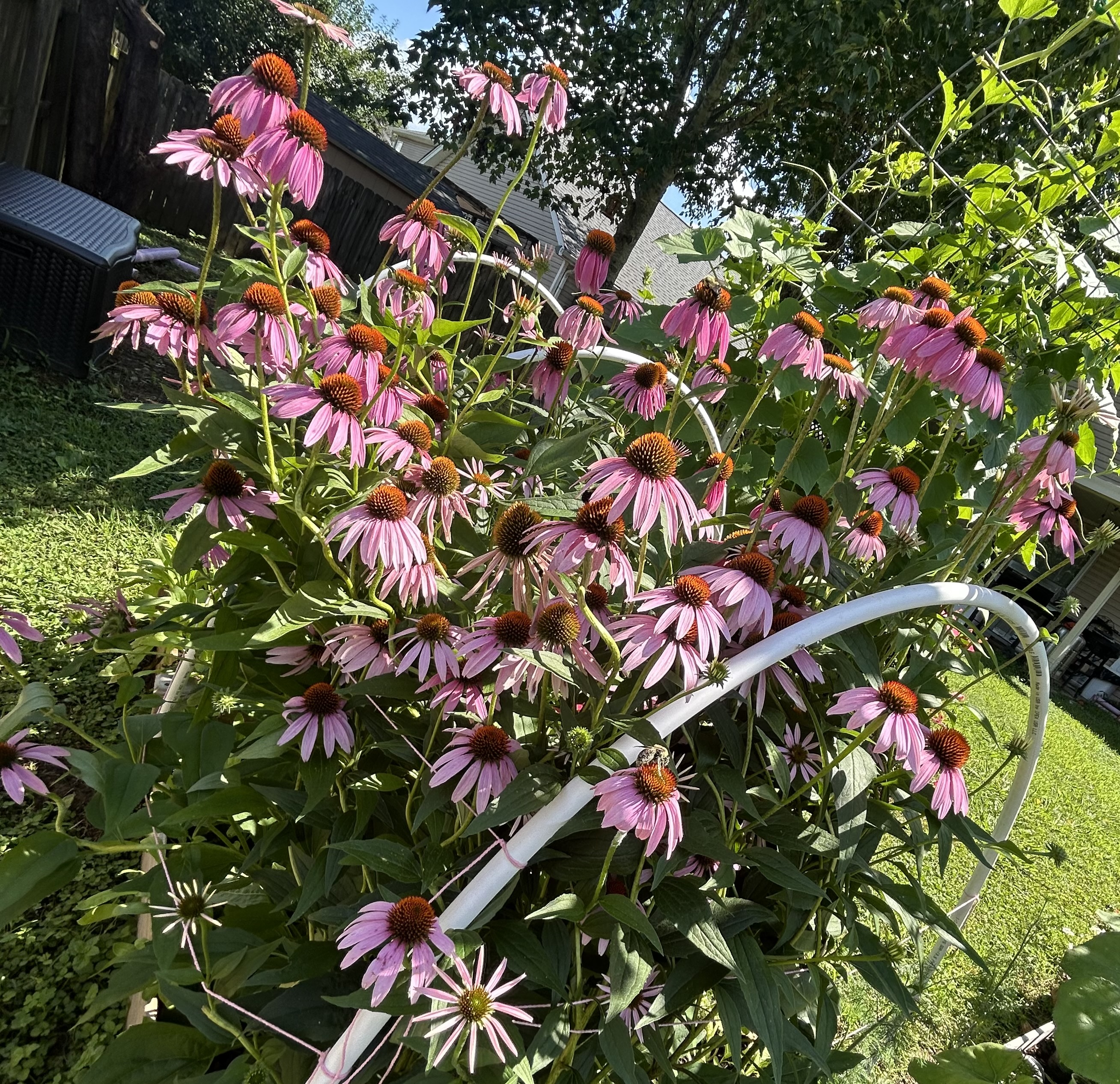 If Your Plants Are Scared of You, You’re in the Right Place